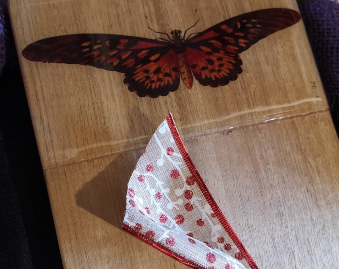 Butterfly artwork on Australian hardwood timber serving board
