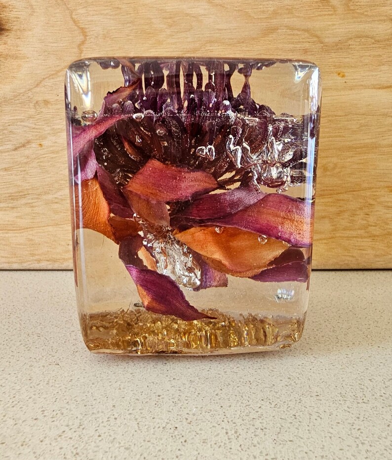 Dried Red Australian Waratah Flower in Clear Resin Cube Etsy