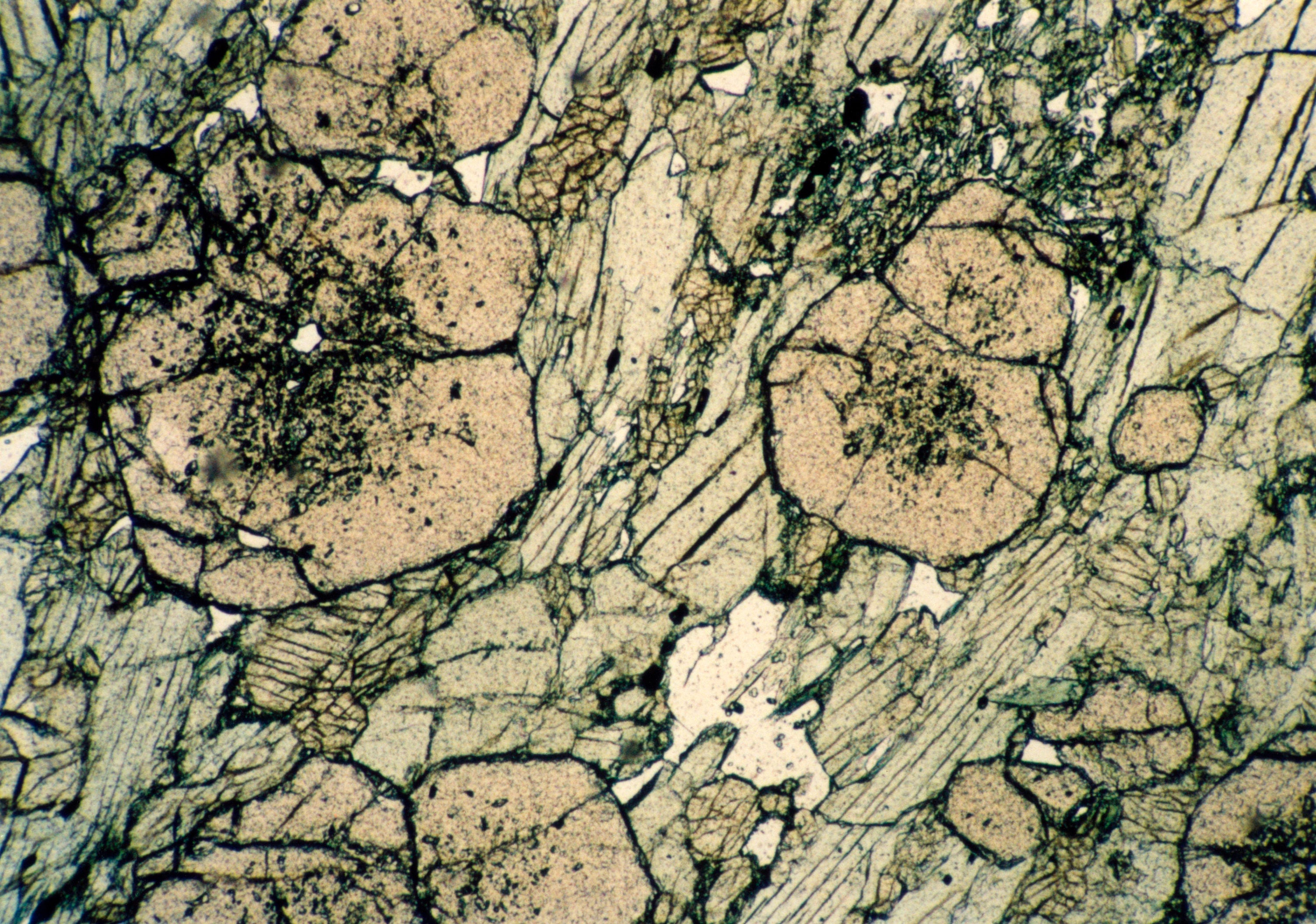 Шлиф петрография. Флогопит минерал в шлифе. Габбро норит в шлифе. Сланец в шлифе. Шлиф петрография.