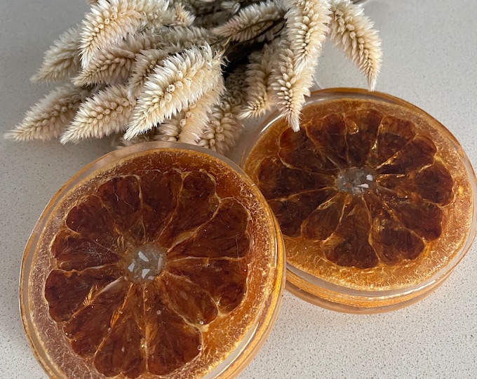 Set of two resin coasters featuring real dried Grapefruit slices