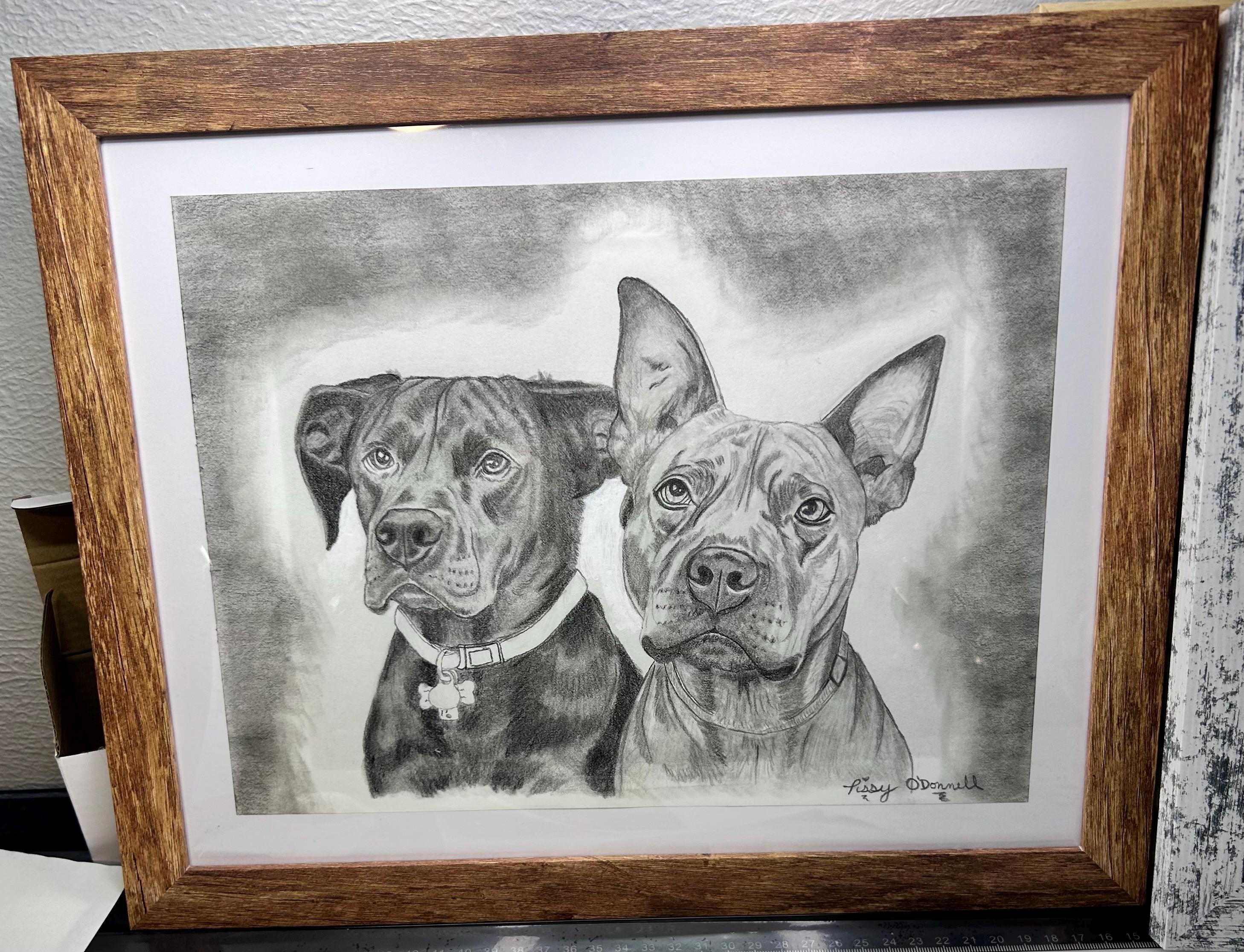 Hand-drawn Pet Portrait • Custom Graphite Pencil Sketch From Photo - Etsy