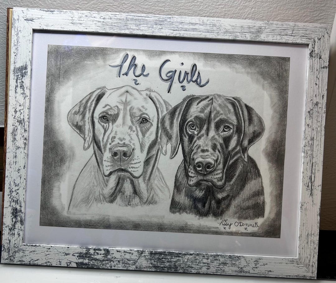 Hand-drawn Pet Portrait • Custom Graphite Pencil Sketch From Photo - Etsy