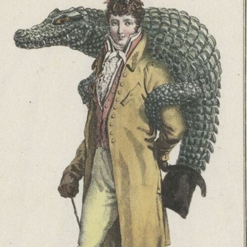 Lot de Salière et Poivrière - Moulin à Poivre et Salière Élégante - Lot de 2