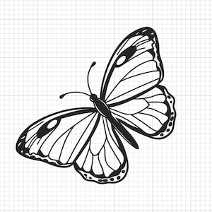 Op de afbeelding: Zwart-wit illustratie van een vlinder. De vlinder heeft gedetailleerde vleugelpatronen en een symmetrisch ontwerp. Deze grafische weergave van een vlinder is geschikt voor diverse design toepassingen.