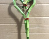 Heart Shape Bamboo pack