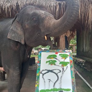 Dipinto ad olio realizzato da elefanti thailandesi, regalo esotico, dipinto di elefante, regalo di compleanno, regalo per la mamma, regalo per il papà, regalo di Natale, regalo di Capodanno