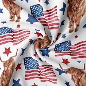 DBP Fabric Double Brushed Polyester Fabric by the Yard DBP Jersey Stretchy Soft Polyester Stretch Fabric DBP1546 4th of July Patriotic