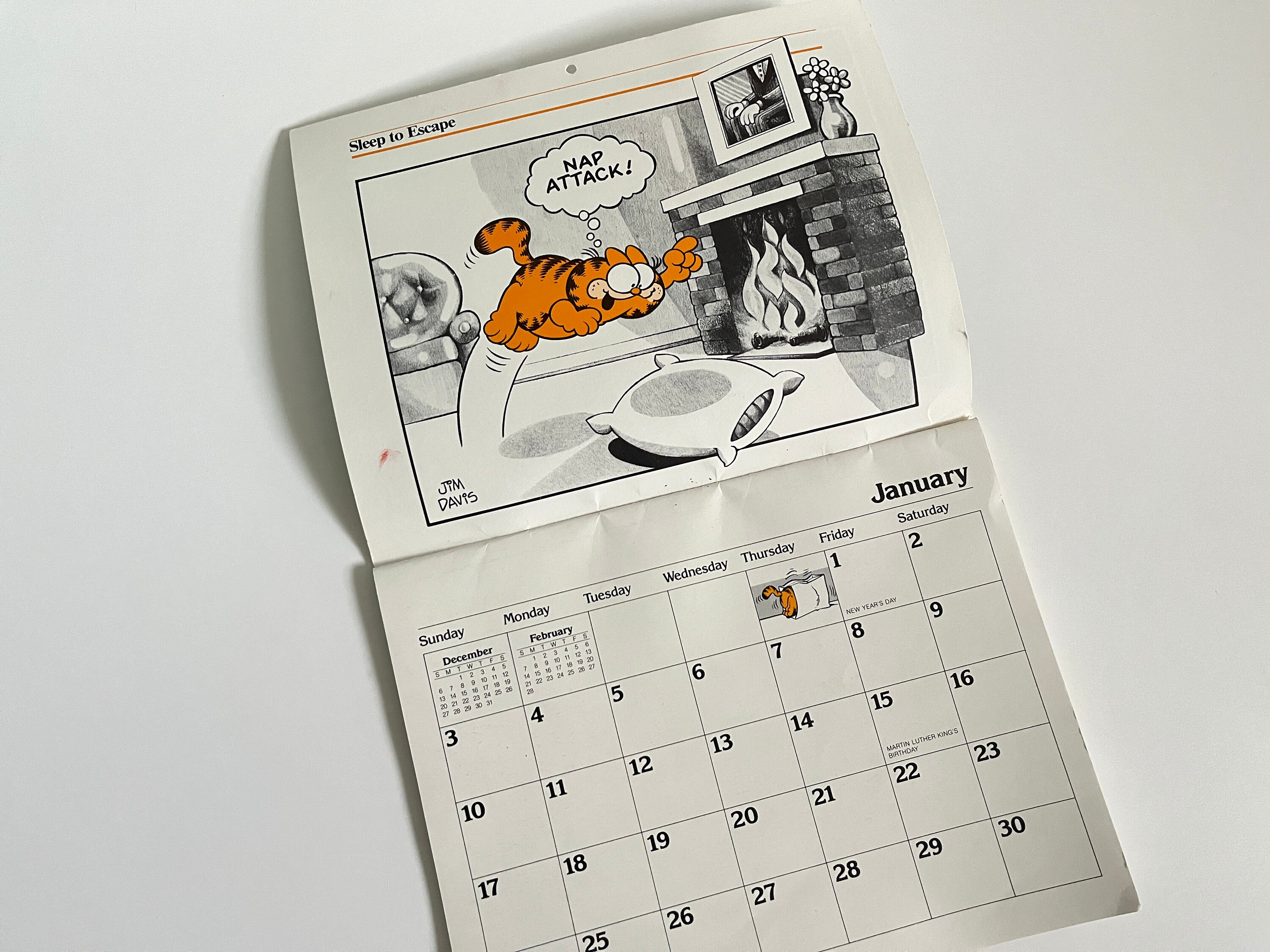 1982 Garfield Wall Calendar Unused How to Behave Like a Cat Etsy