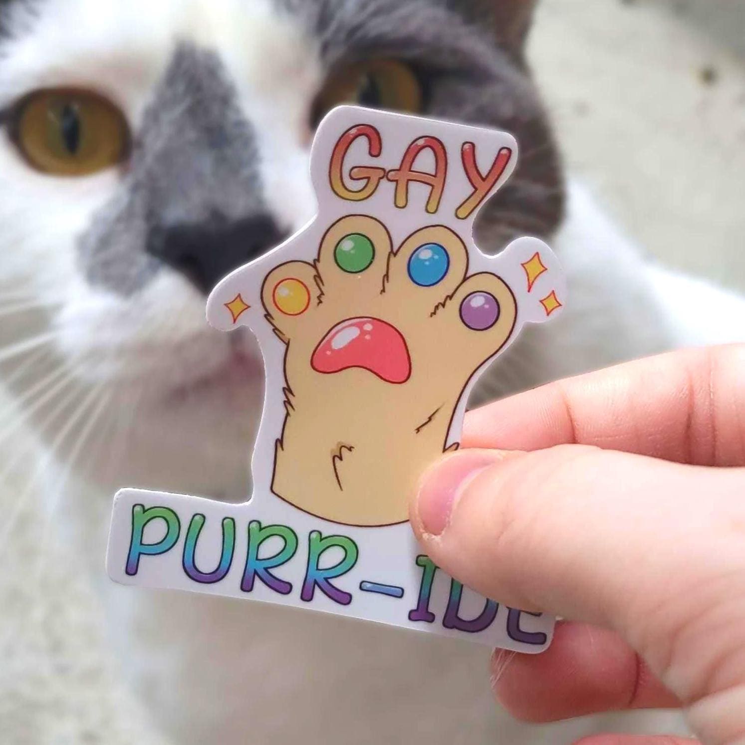 Buy Cat Toe Beans Pun Online In India India