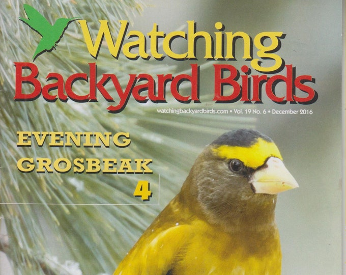 Watching Backyard Birds December 2016 Evening Grosbeak (Magazine: Birds)