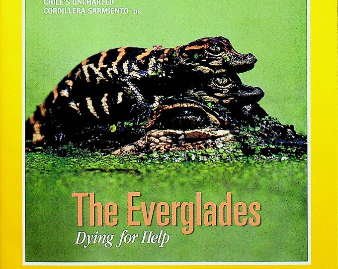 National Geographic April 1994 The Everglades; Kamchatka, Lusitania, John Wesley Powell (Magazine Nature, Geography)