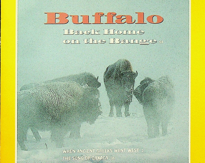 National Geographic November 1994 Buffalo, Ancient Greeks, Oaxaca, Madeira, Deep-Sea Vent (Magazine Nature, Geography)