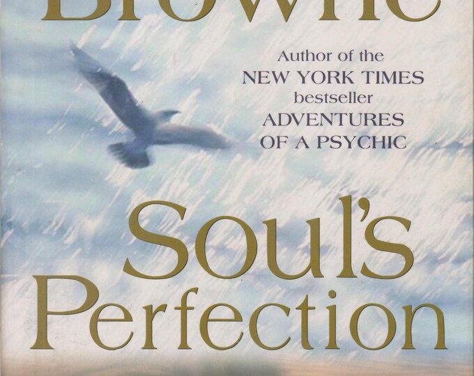 Soul's Perfection (Journey of the Soul's Series Book 2)   (Trade Paperback: New Age, Spiritual Growth) 2000