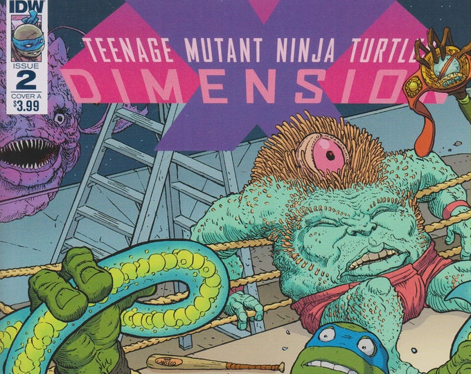 IDW August 2017 Issue 2 Cover A  Teenage Mutant Ninja Turtles Dimensions (Comic: Teenage Mutant Ninja Turtles)