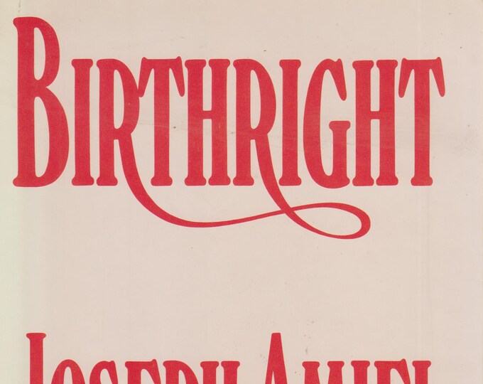 Birthright by Joseph Amiel  (Hardcover: Fiction) 1985 First Edition