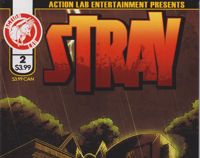 Stray Action Lab #2  February 2015 Cover 2A  (Comic: Action)