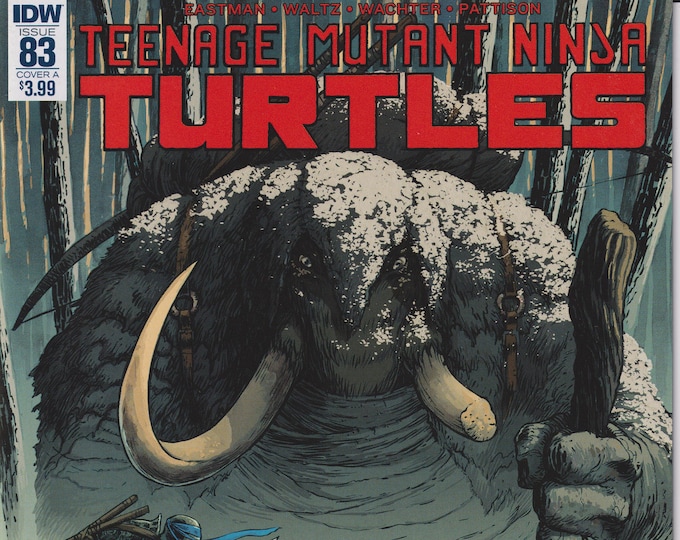 Teenage Mutant Ninja Turtles IDW 83 Cover A June 2018 First Printing (Comic)
