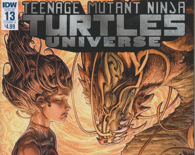 IDW #13  August 2017 Cover A Teenage Mutant Ninja Turtles Universe Karai's Path (Comic: Teenage Mutant Ninja Turtles)