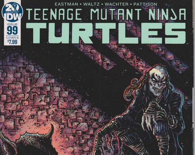 Teenage Mutant Ninja Turtles IDW 99 Cover B October 2019 First Printing  (Comic)