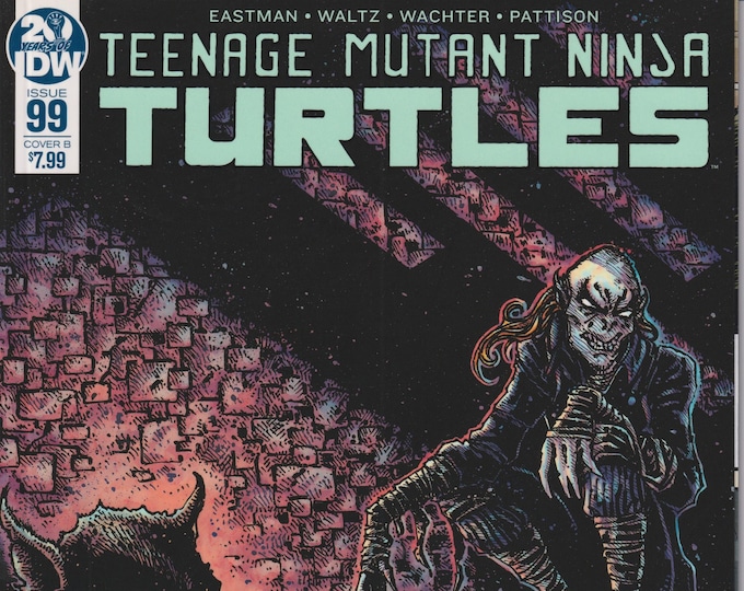 Teenage Mutant Ninja Turtles IDW 99 Cover B October 2019 First Printing  (Comic)