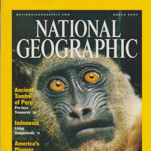 May include: National Geographic magazine cover featuring a close-up of a monkey's face. The magazine title is in large white letters on a yellow background. The cover story is "Extreme Africa: Trekking Through the Green Abyss".