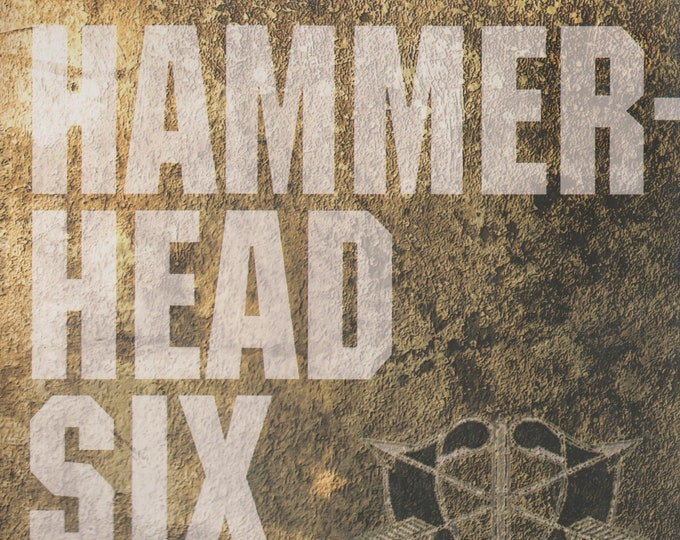 Hammerhead Six - How Green Berets Waged an Unconventional War by Captain Ronald Fry  (Hardcover: Biography,  Military) 2016 FE