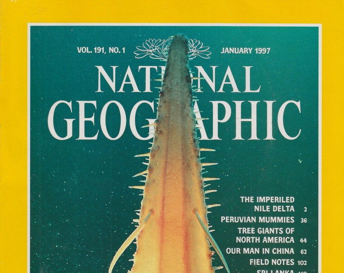 National Geographic January 1997 Beneath The Tasman Sea, Nile Delta, Peruvian Mummies, Trees, China, Sri Lanka (Magazine: Nature; Geography)