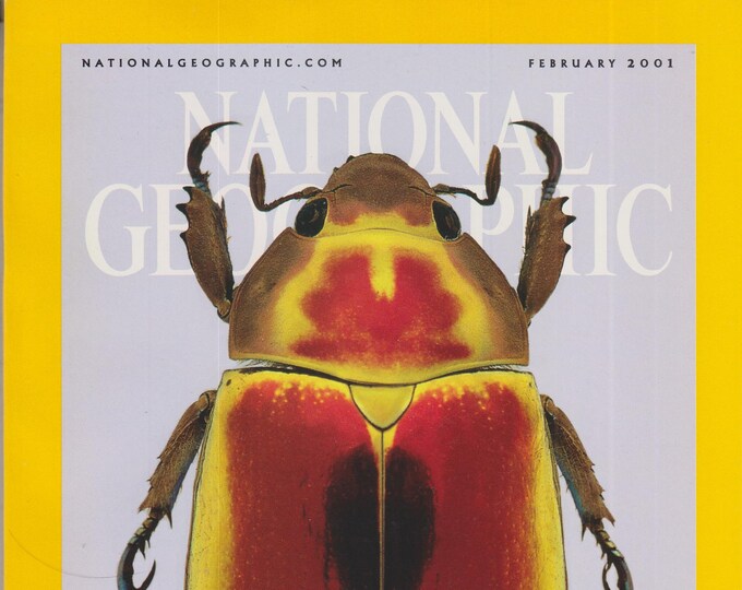 National Geographic  (& Map) February 2001 Jewel Scarabs, The Andes, Mars, Bushman  (Magazine:  General Interest, Nature)