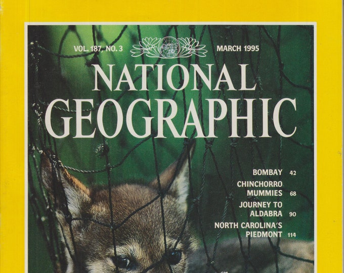 National Geographic March 1995 Dead or Alive  The Endangered Species Act (Magazine: Geography, General Interest)