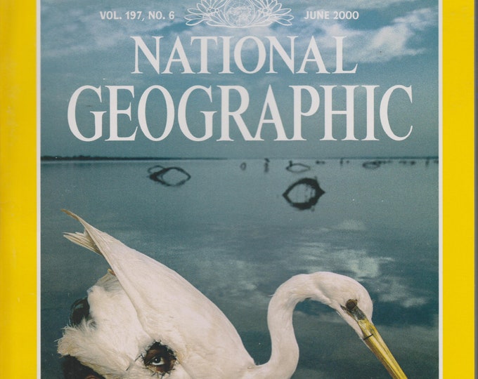 National Geographic and Map June 2000 Indus Clues to An Ancient Civilization, London, Debut Sue, Suriname,  (Magazine: General Interest)