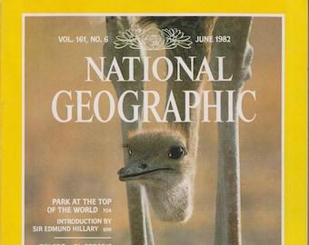 National Geographic June 1982  Namibia, Everest Park, El Greco's Spain, The Palouse, Armadillo