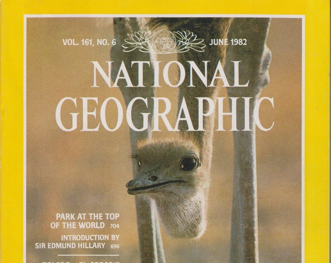 National Geographic June 1982 Namibia; Mt. Everest Park, Spain's Toledo, El Greco, Palouse, Armadillos (Magazine: General Interest)