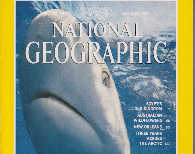 National Geographic and map January 1995  Gray Reef Sharks (Magazine: General Interest, Geography)