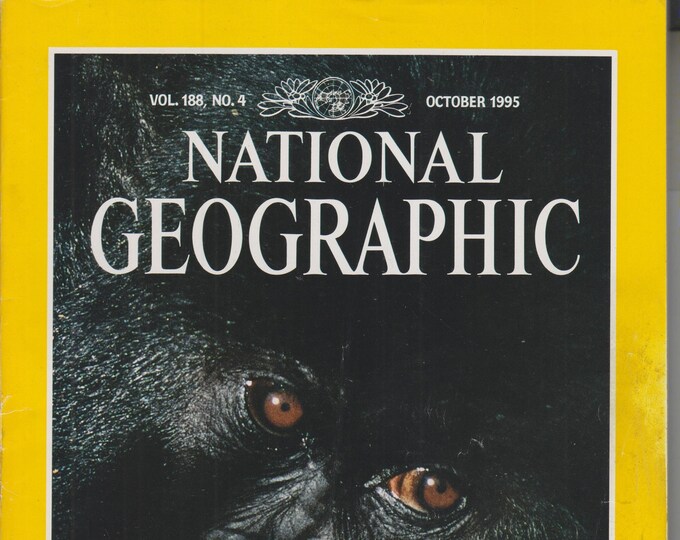 National Geographic October 1995 Mountain Gorillas of Africa Threatened by War  (Magazine: Geography, General Interest)