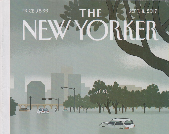 The New Yorker September 11, 2017 Cover - Hurricane Harvey - Final Cut On Filming a Family (Magazine: General Interest)