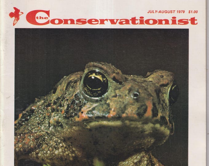 The Conservationist July August 1979 DEC Acquires Bashakill Wetland, Improving Our Urban Environment (Magazine: Conservation, Nature)