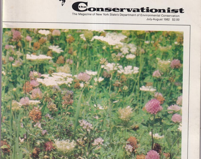 The Conservationist July August 1982 Grandma Moses Revisited, Restoring the  Bald Eagle, The American Eel  (Magazine: Conservation, Nature)