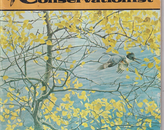 The Conservationist July August 1981 Wildlife Paintings, Peerless Panfish, Snake-Bit, Bluespotted Sunfish (Magazine: Conservation, Nature)