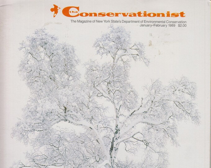 The Conservationist January February 1989 A Future for Colonial Waterbirds In NY State (Magazine: Conservation, Nature)