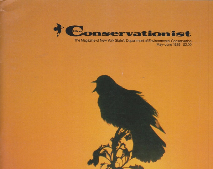 The Conservationist May June 1989 Redwing Blackbird At Dawn; Night Flyers; Adirondack Wilderness (Magazine: Conservation, Nature)