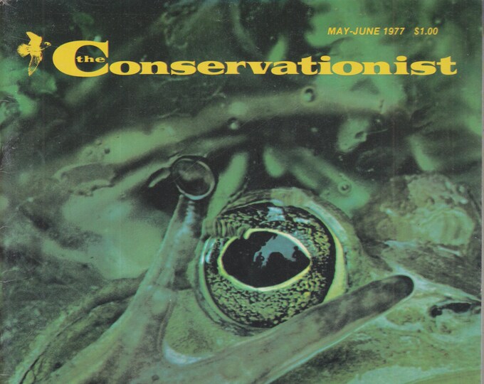 The Conservationist May June 1977 Otter, Tidal Flats in the Hudson, Bees, Lobster Aquaculture (Magazine: Conservation, Nature)