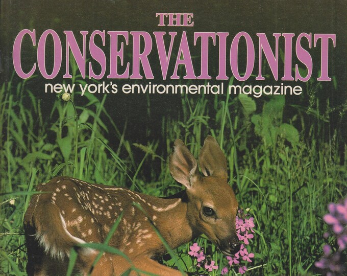 The Conservationist April 1993 Ice Yachts; Herring; Open Spaces; Sonnenberg Gardens  (Magazine: Conservation, Nature, Environment, New York)