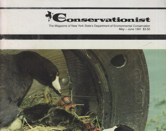The Conservationist May June 1991 Many Faces of Water, Fighting Water Pollution, Crusiging Upstate Canals  (Magazine: Conservation, Nature)