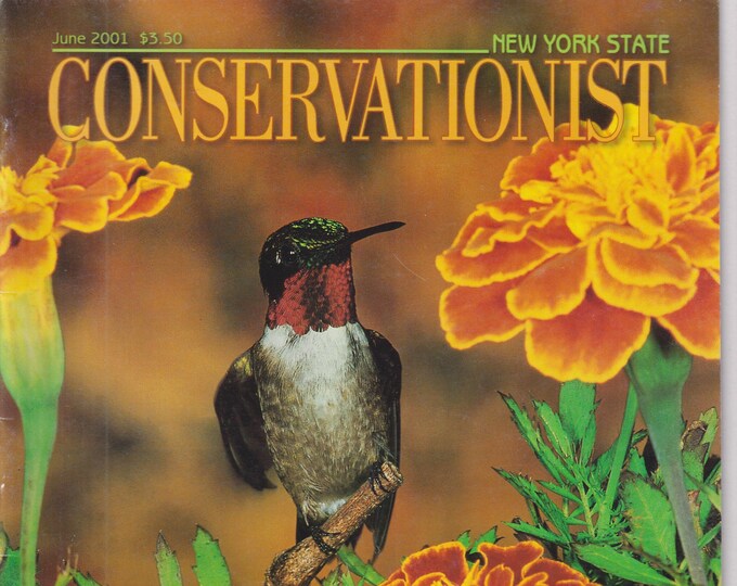 The Conservationist June 2001 Hummingbird, Adirondack Sojourn, Niagara River (Magazine: Conservation,  Nature)