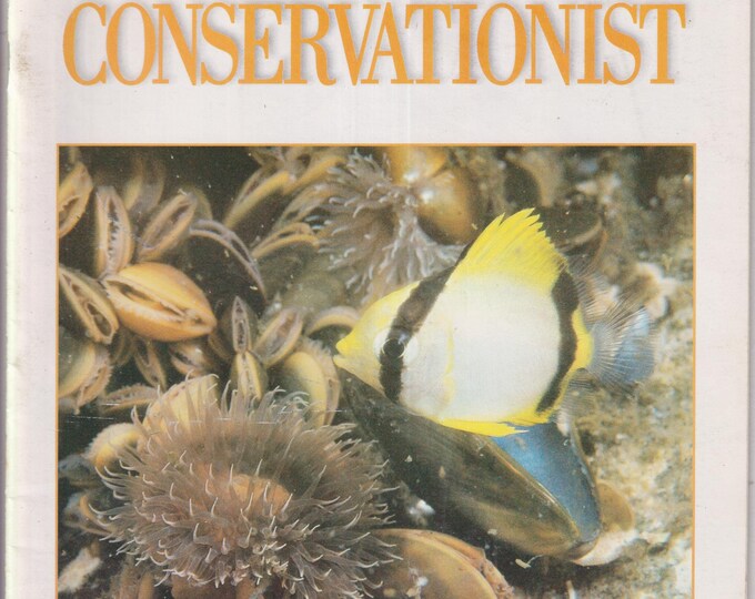 Conservationist August 1998 Tropical Long Island, Barn Again, Black Bear (Magazine: Conservation, Nature, Environment, New York)