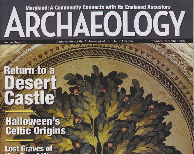 Archaeology November/December 2016 Return to a Desert Castle