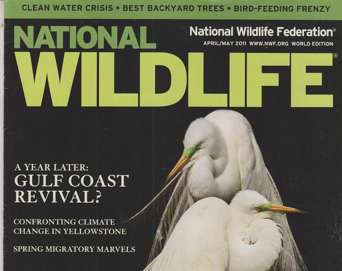National Wildlife April May 2011 A Year Later - Gulf Coast Revival?   (Magazine: Wildlife, Nature)