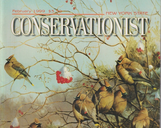 Conservationist February 1999 Birds of Winter  (Magazine: Conservation, Nature)