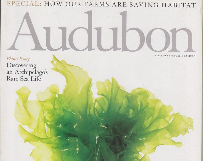 Audubon November December 2005 Discovering an Archipelago's Rare Sea Life (Magazine: Birds, Nature, Conservation)