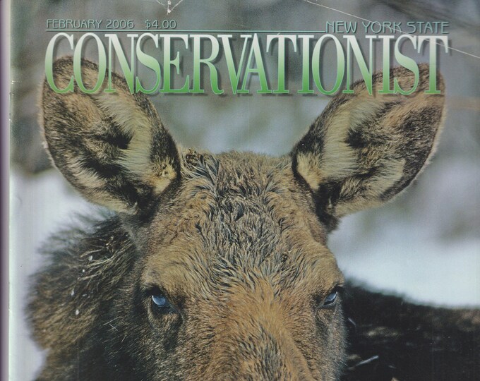 Conservationist February 2006 Moose, Elk Antler Discovery, Cross County Skiing (Magazine:  Conservation, Nature)